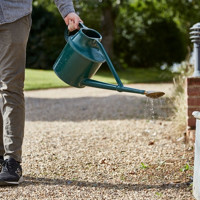 The Big Cheese Fox & Wildlife Repellent 2 x 50g