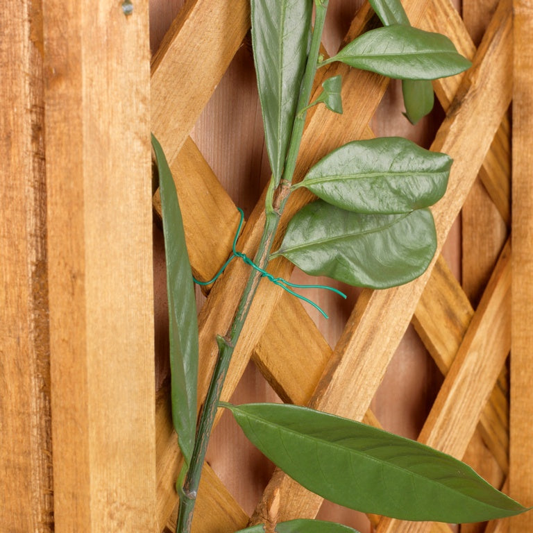 Ambassador PVC Coated Garden Wire 3.5mm x 20m