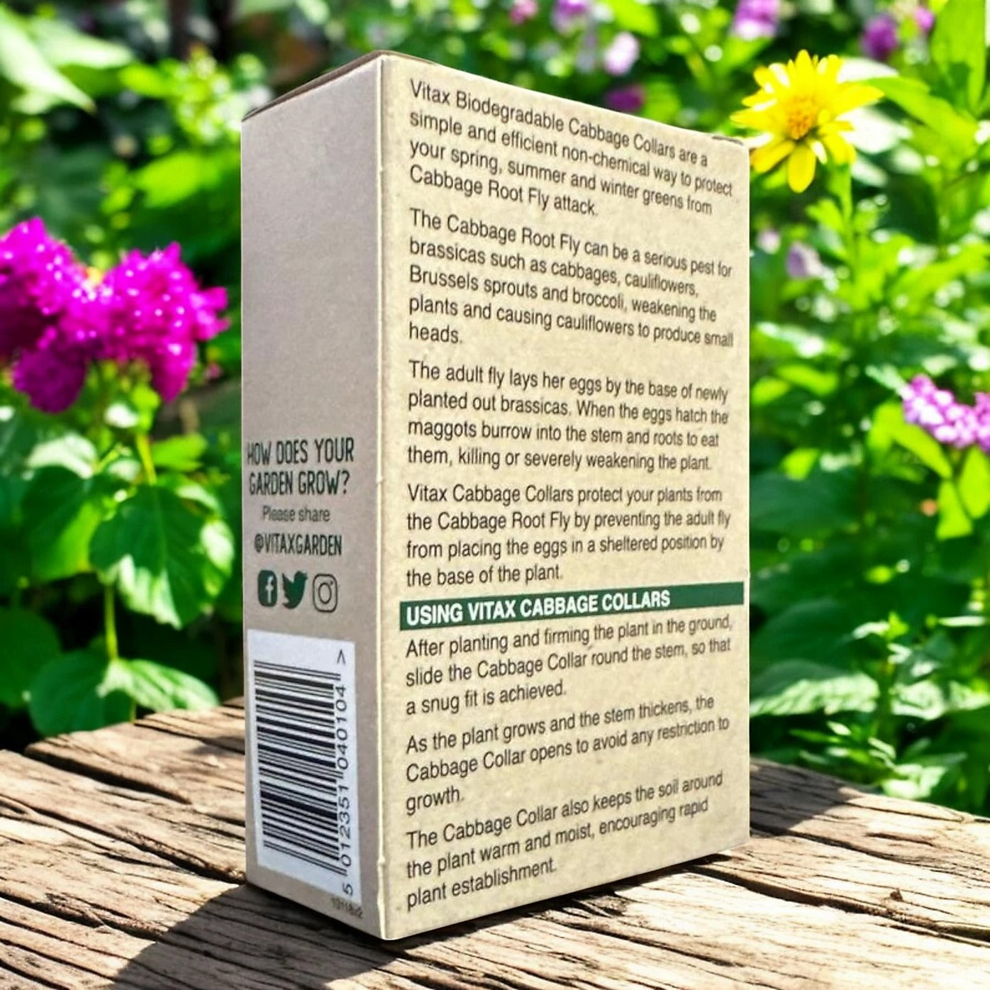 Vitax Biodegradable Cabbage Collars Pack of 30 - Eco Friendly Protection from Cabbage Root Fly