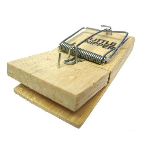 Little Nipper Traditional Wooden Mouse Traps - Box of 30