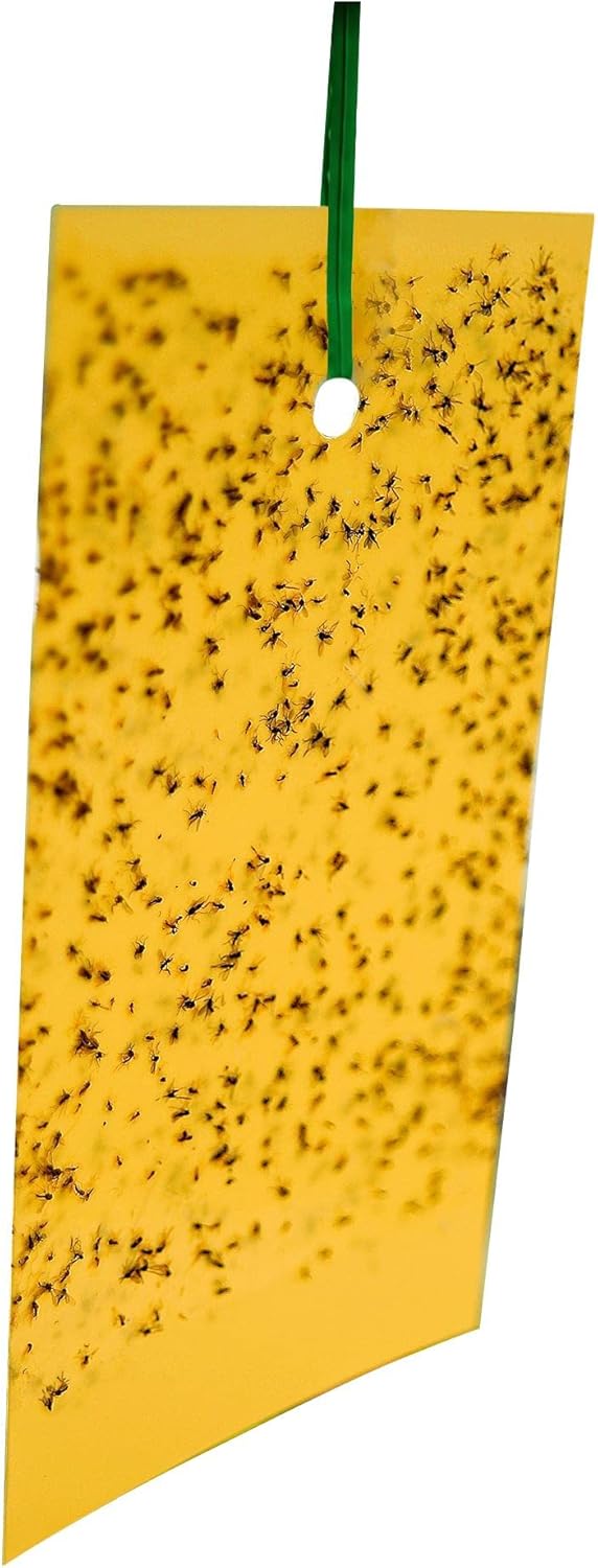 Vitax Whitefly Traps 10 Pack