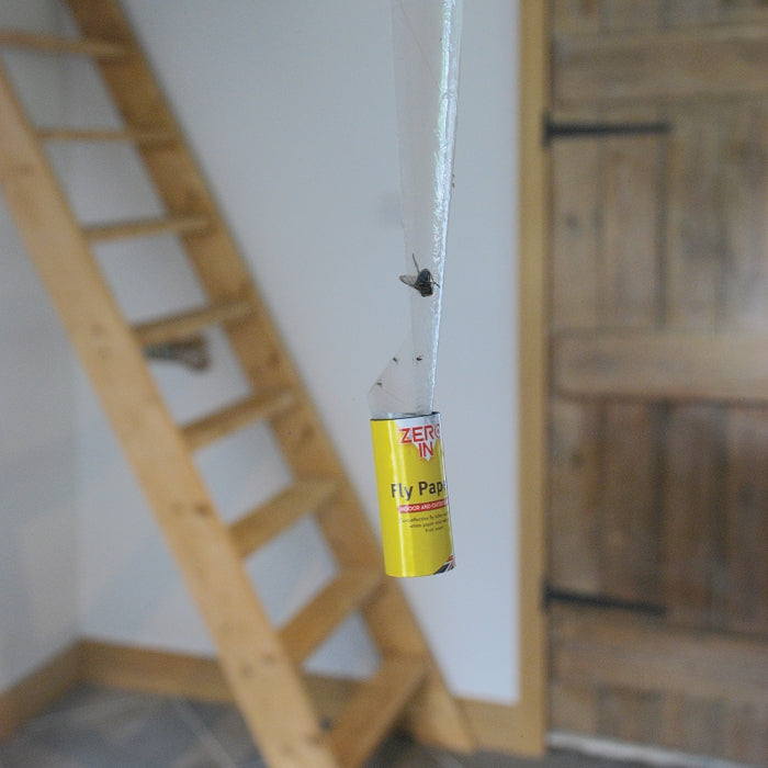 Zero In Fly Papers 8 Pack