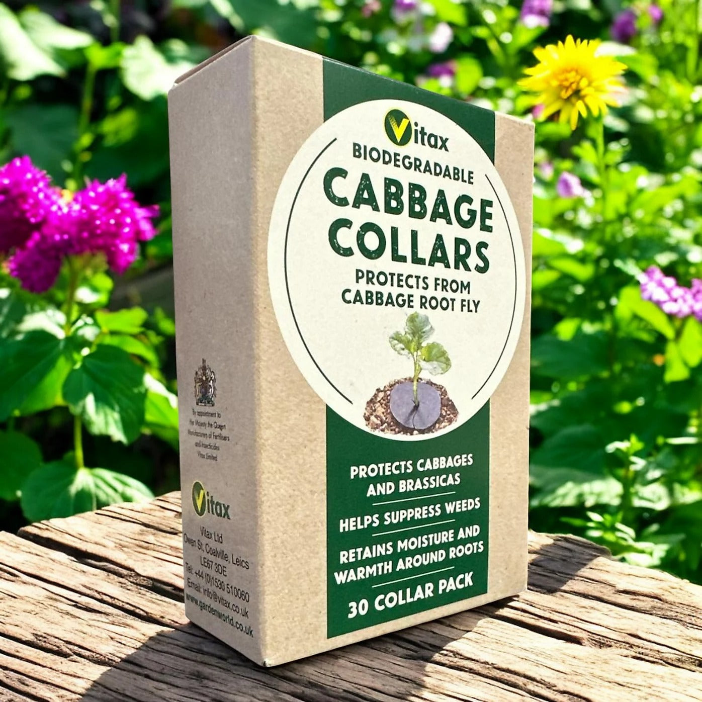 Vitax Biodegradable Cabbage Collars Pack of 30 - Eco Friendly Protection from Cabbage Root Fly