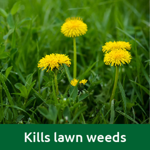 Vitax Lawn Care Liquid Feed & Weed - 500ml