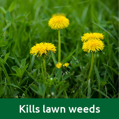 Vitax Lawn Care Liquid Feed & Weed - 500ml