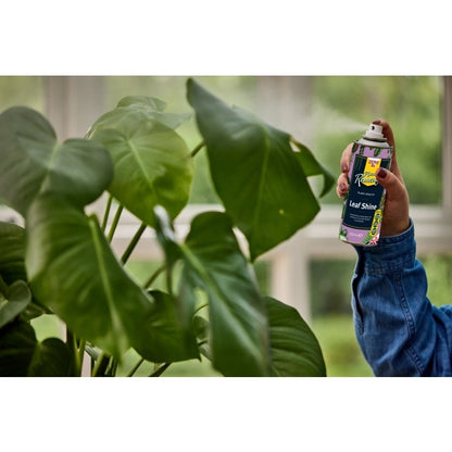 Zero In Leaf Shine Spray ZER229 - 200ml