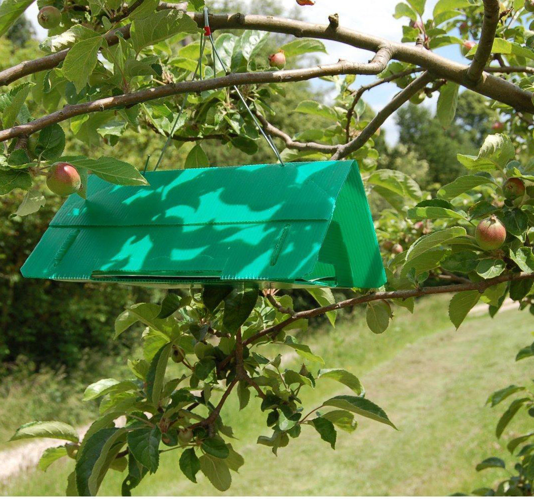 Agralan Codling Moth Trap 
