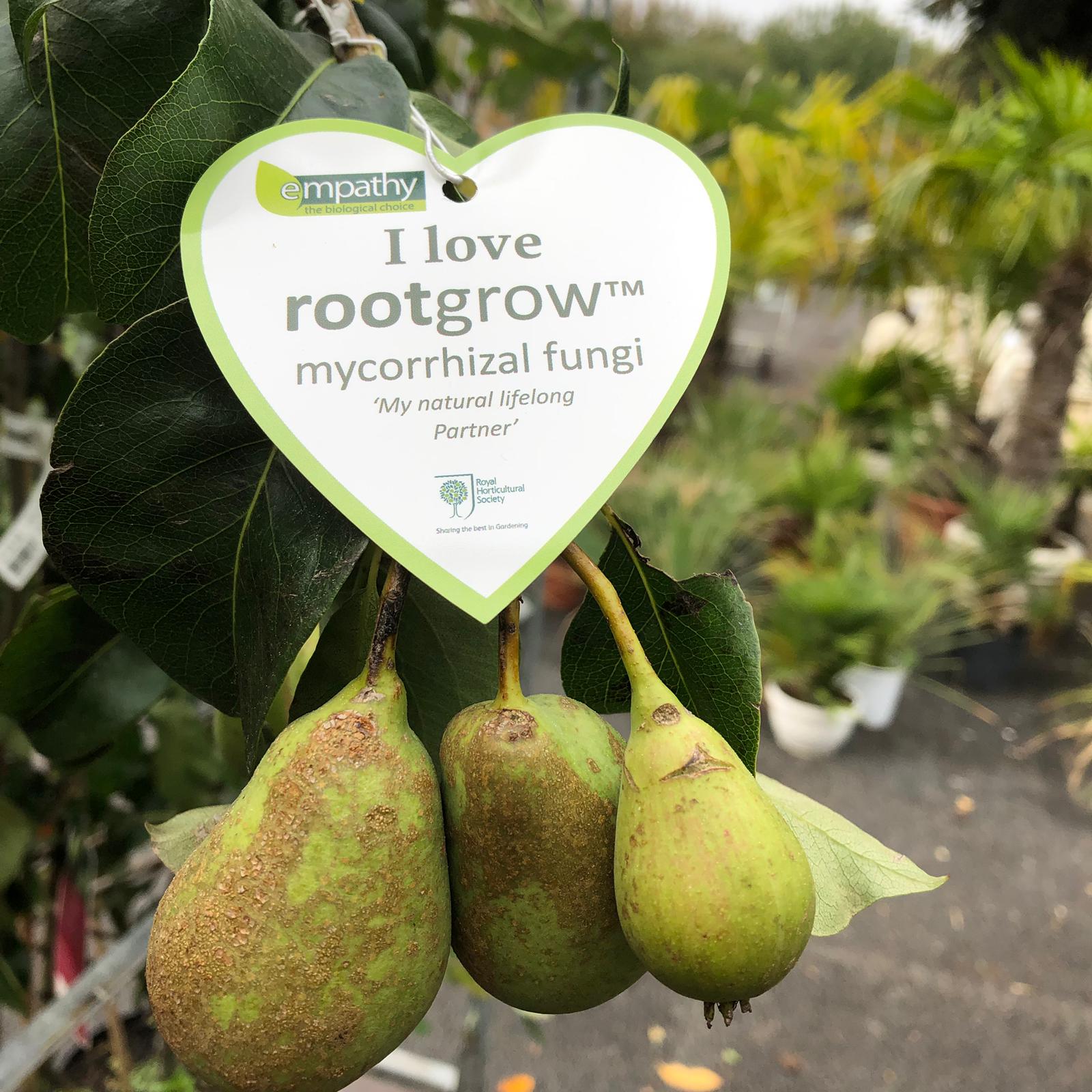 Empathy Rootgrow Mycorrhizal Fungi 360g