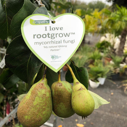 Empathy Rootgrow Mycorrhizal Fungi 360g