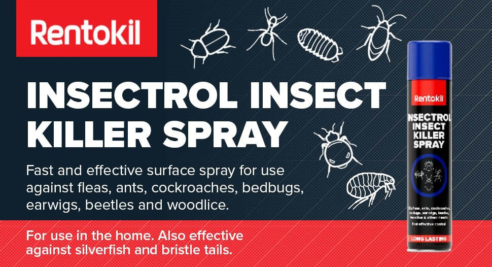 Rentokil Insectrol Insect Killer Spray 300ml
