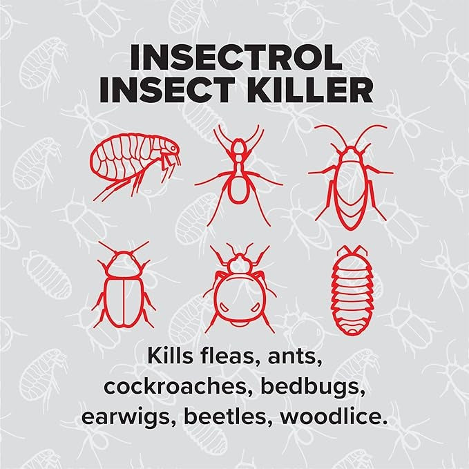 Rentokil Insectrol Insect Killer Spray 300ml