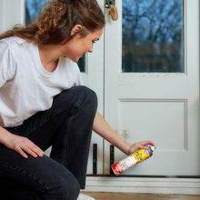 Zero In Ant & Crawling Insect Killer ZER962 - 300ml