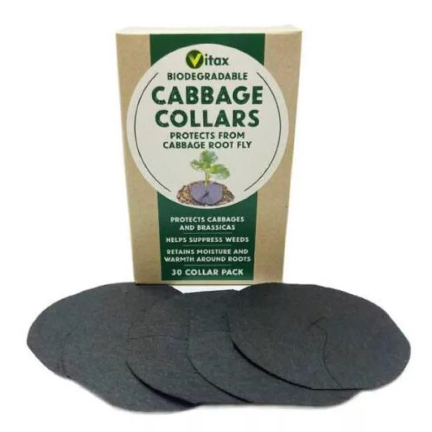 Vitax Biodegradable Cabbage Collars Pack of 30 - Eco Friendly Protection from Cabbage Root Fly