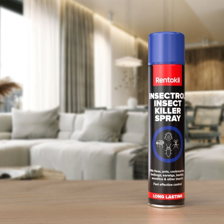 Rentokil Insectrol Insect Killer Spray 300ml