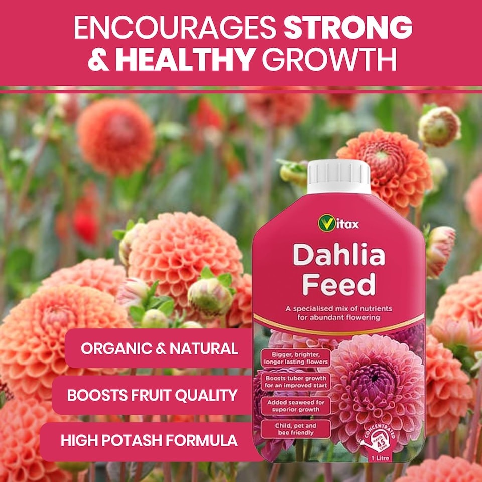 Vitax Liquid Dahlia Feed - 1 Litre