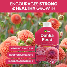 Vitax Liquid Dahlia Feed - 1 Litre