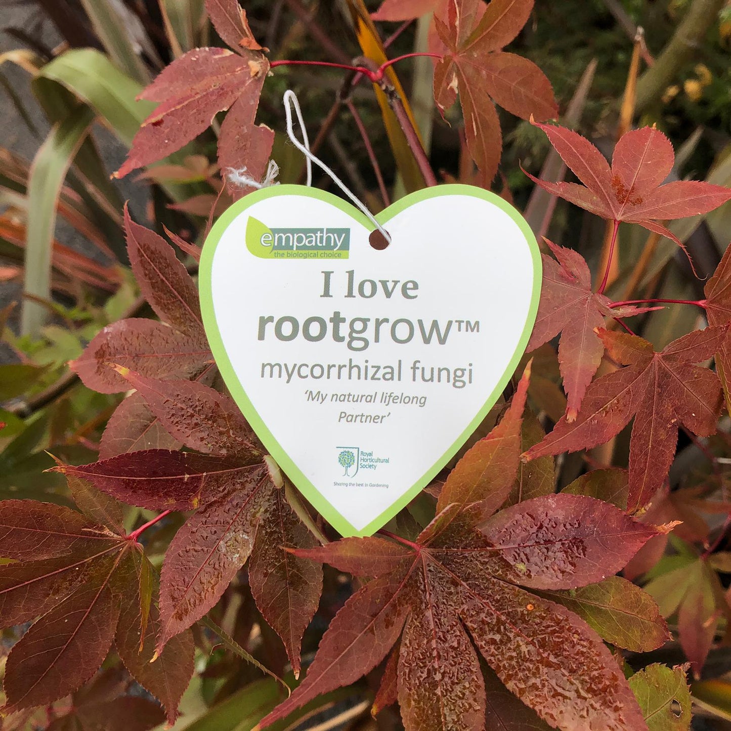 Empathy Rootgrow Mycorrhizal Fungi 360g