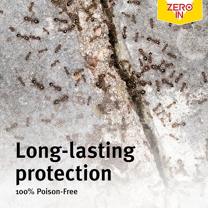 Zero In Ant & Crawling Insect Trap
