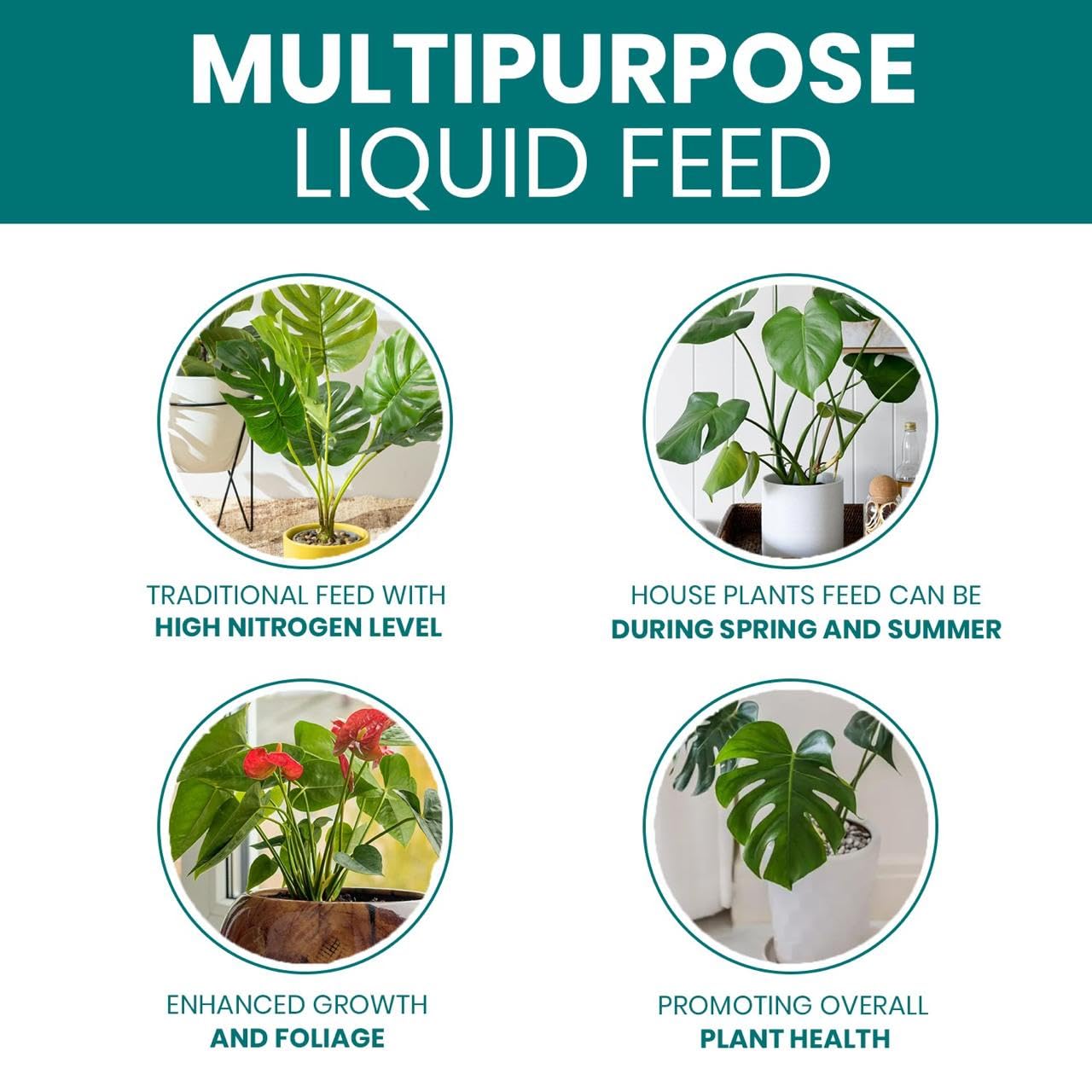 Vitax House Plant Feed Liquid Concentrate 250ml