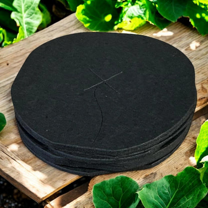 Vitax Biodegradable Cabbage Collars Pack of 30 - Eco Friendly Protection from Cabbage Root Fly