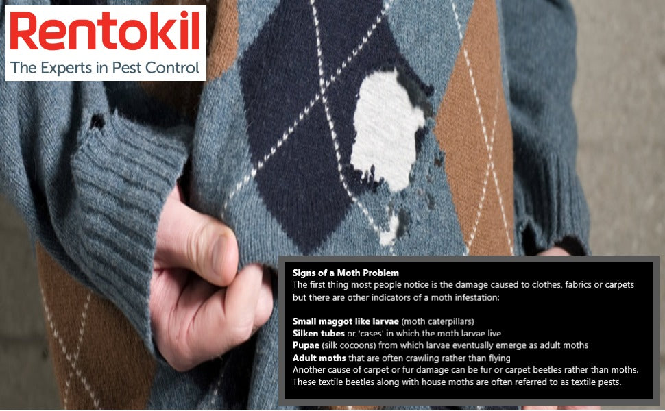 Rentokil Clothes Moth Glue Trap