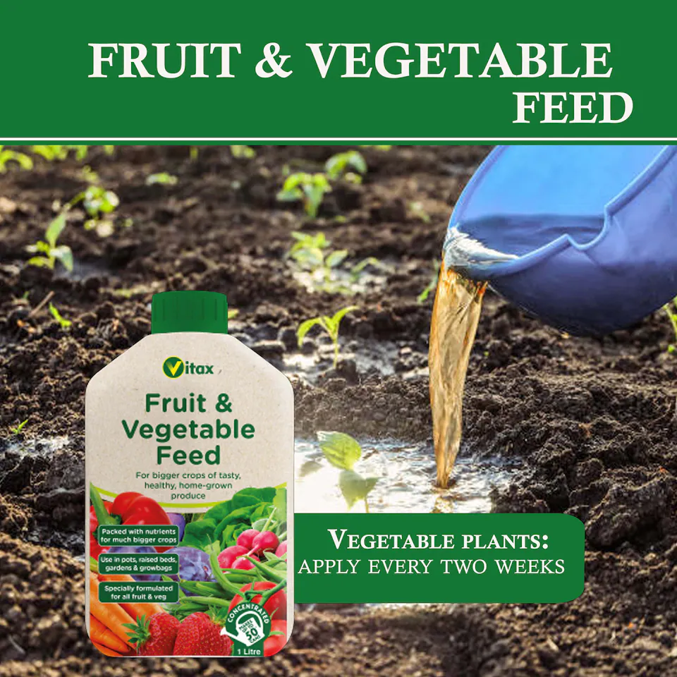 Vitax Fruit & Vegetable Feed Liquid Concentrate 1 Litre