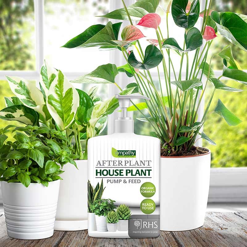 Empathy After Plant House Plant Pump & Feed 500ml