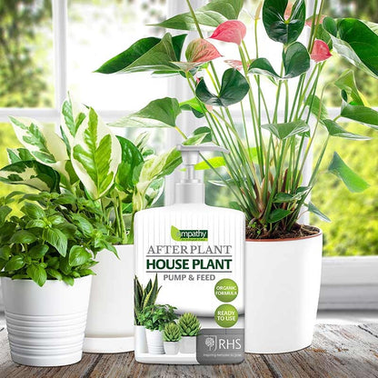 Empathy After Plant House Plant Pump & Feed 500ml