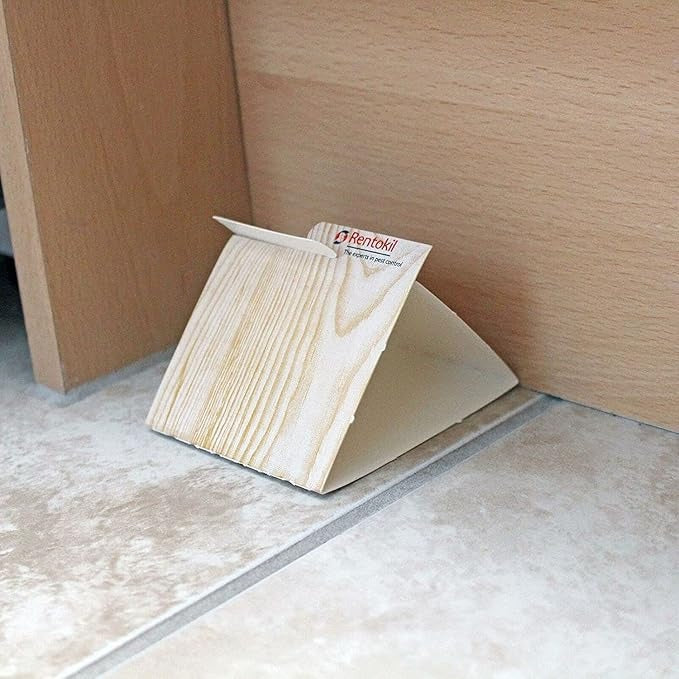 Rentokil Spider & Crawling Insect Trap - Pack of 3 Traps