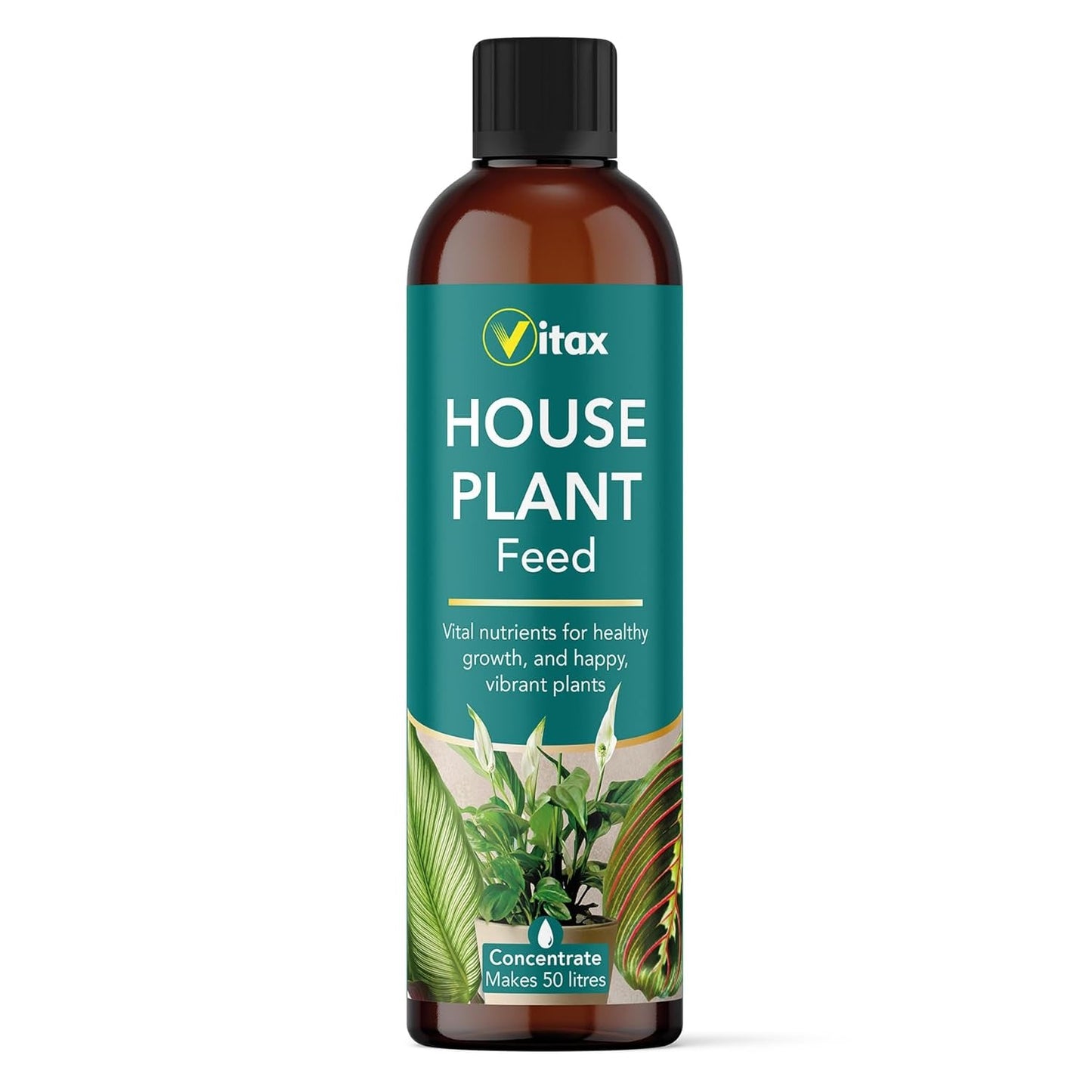Vitax House Plant Feed Liquid Concentrate 250ml