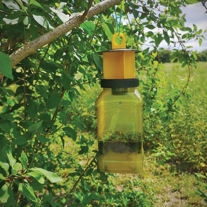 Zero In Fly Max Fly Catcher Twin Pack