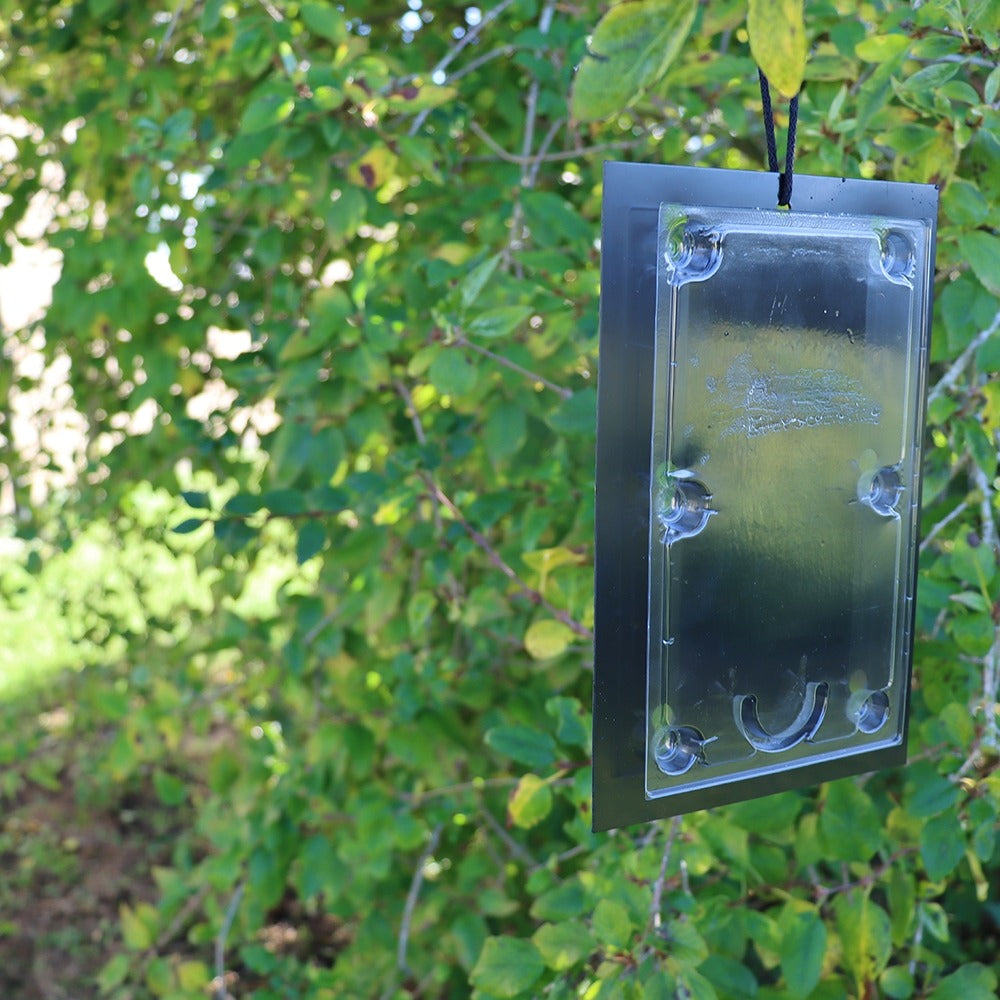 Defenders Tomato Leaf Mine Pheromone Traps 2 Pack