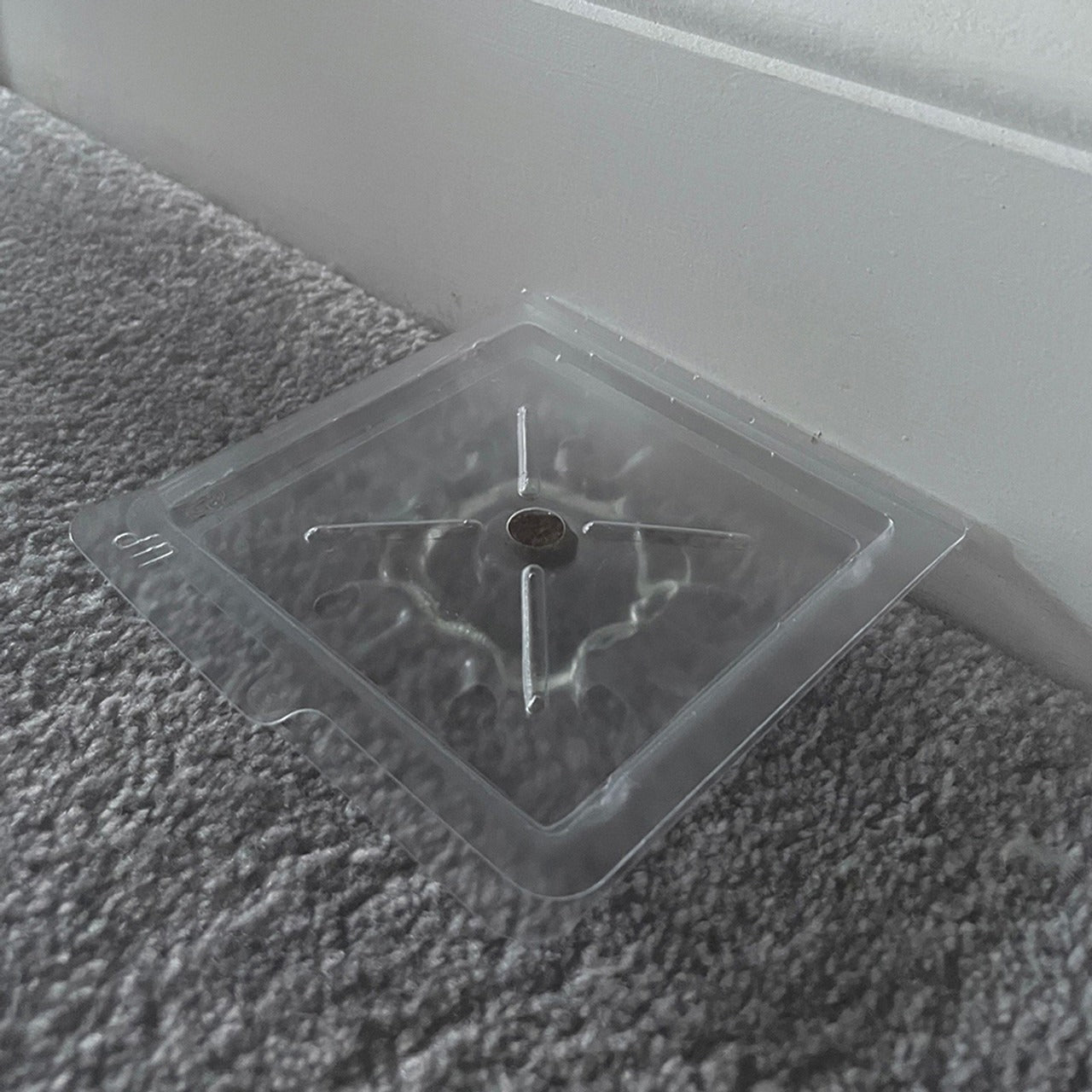 Zero In Silverfish Ready Baited Traps ZER006 - 2 Pack 