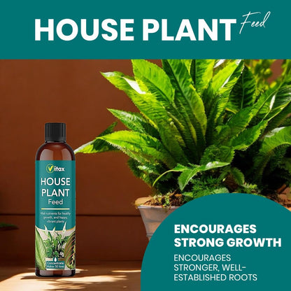 Vitax House Plant Feed Liquid Concentrate 250ml