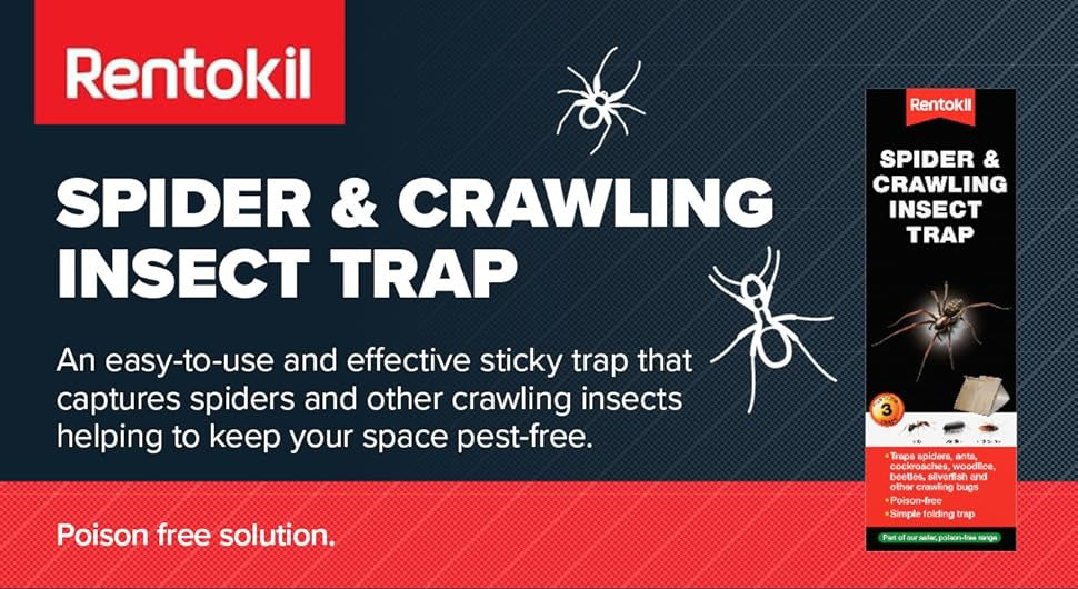 Rentokil Spider & Crawling Insect Trap - Pack of 3 Traps