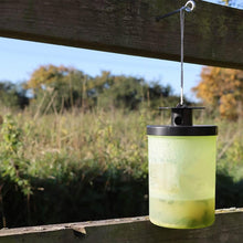 Zero In Wasp Trap With Bait