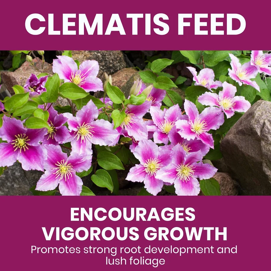 Vitax Clematis Feed 900g Pouch