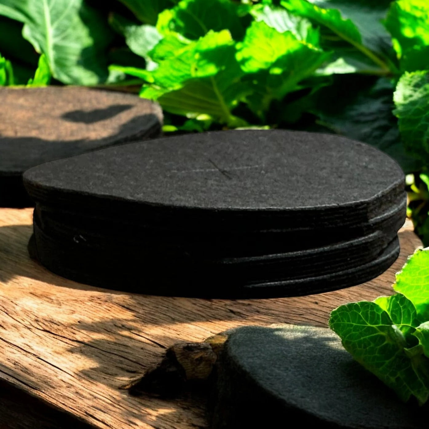 Vitax Biodegradable Cabbage Collars Pack of 30 - Eco Friendly Protection from Cabbage Root Fly