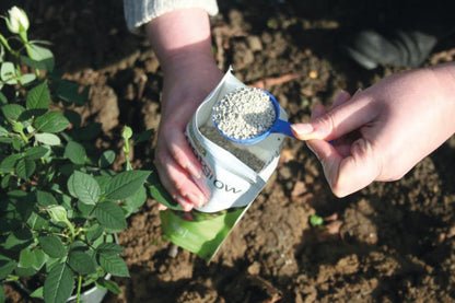 Empathy Rootgrow Mycorrhizal Fungi 360g