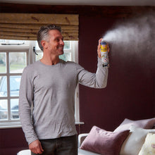 Zero In Fly & Wasp Killer 300ml Aerosol