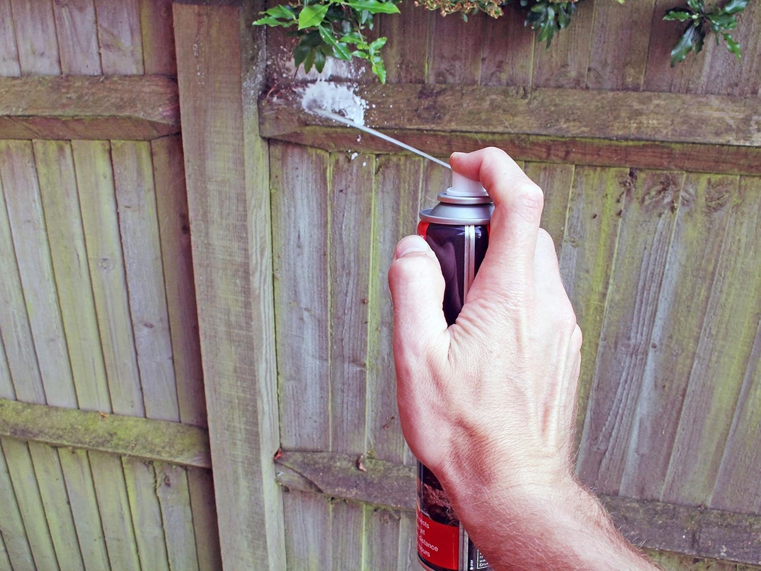 Rentokil Wasp Nest Destroyer Foam 300ml