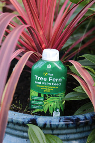 Vitax Tree Fern And Palm Feed 1 Litre