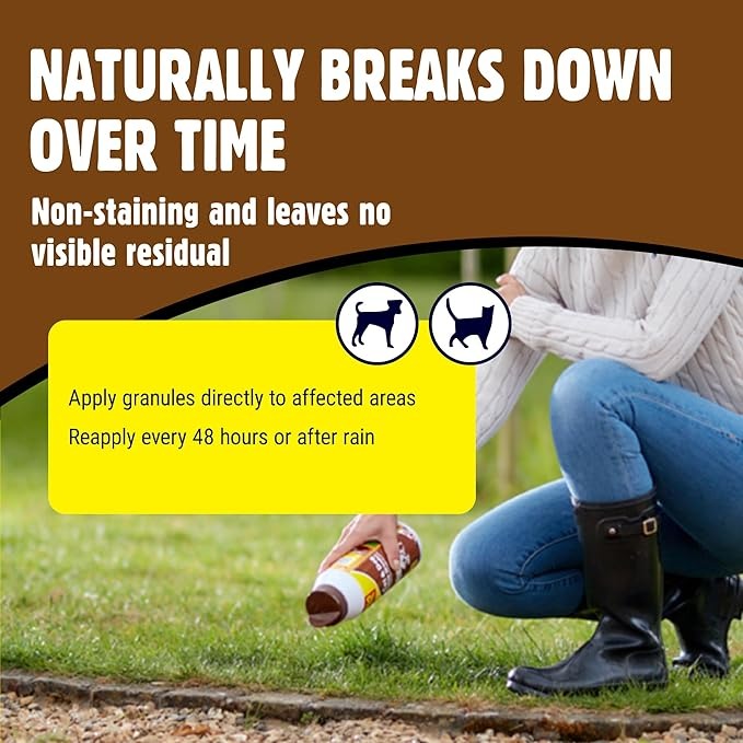 The Big Cheese Cat & Dog Scatter Granules Training Aid 450g