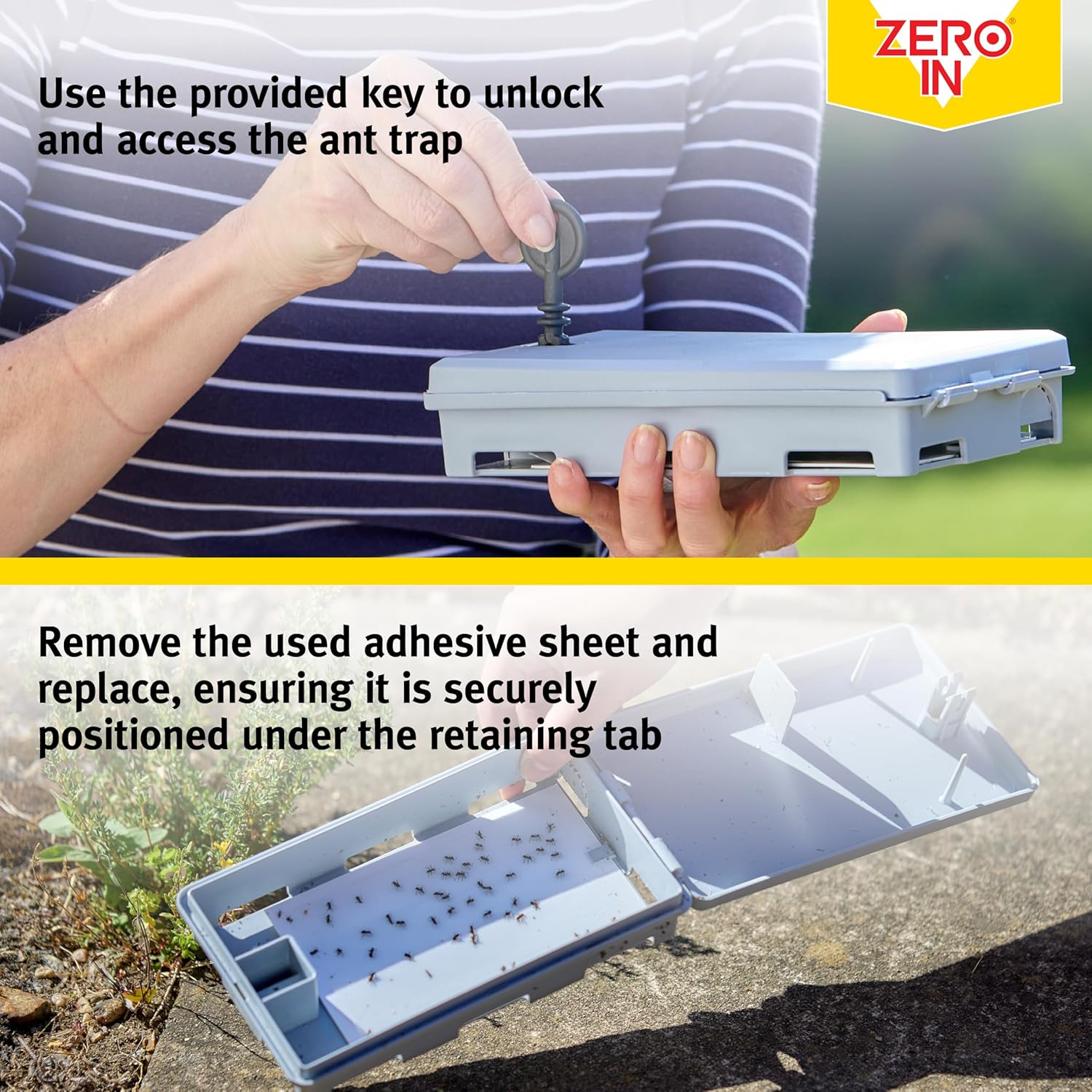 Zero In Ant & Crawling Insect Trap