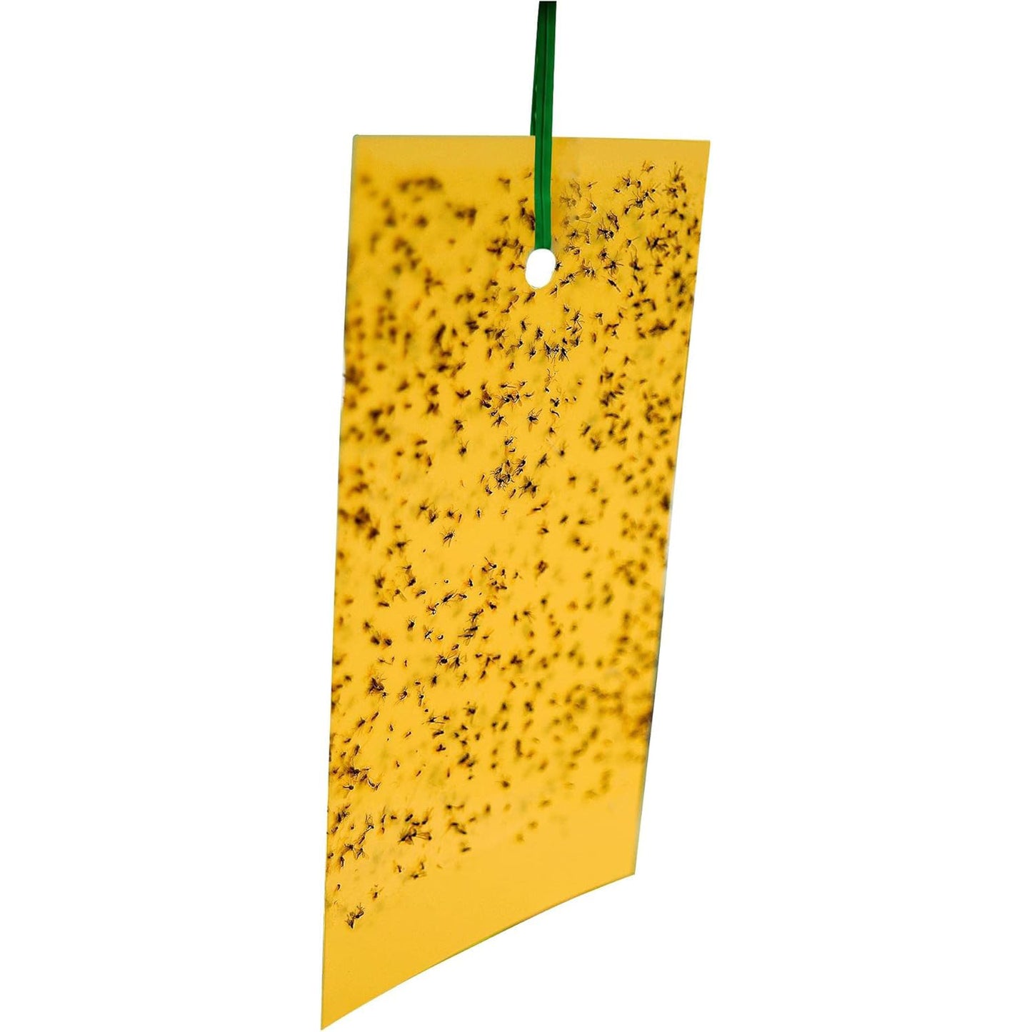 Vitax Whitefly Traps 10 Pack