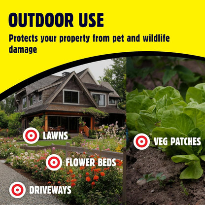 The Big Cheese Cat & Dog Scatter Granules Training Aid 450g