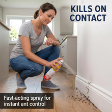 Zero In Ant & Crawling Insect Killer 300ml