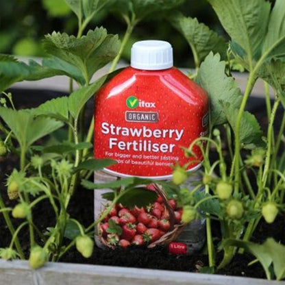 Vitax Organic Strawberry Fertiliser Liquid Feed 1 Litre