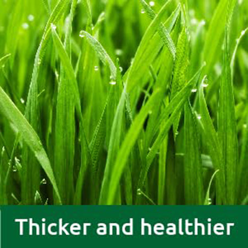 Vitax Lawn Care Liquid Feed & Weed - 500ml