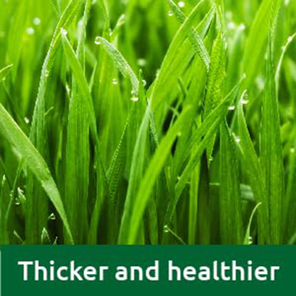 Vitax Lawn Care Liquid Feed & Weed - 500ml